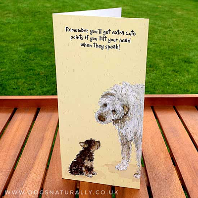 Tilt Head Fun Dog Greetings Card